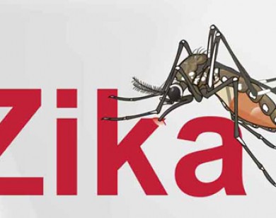 Bộ Y tế công bố 2 ca nhiễm virus Zika đầu tiên tại Việt Nam