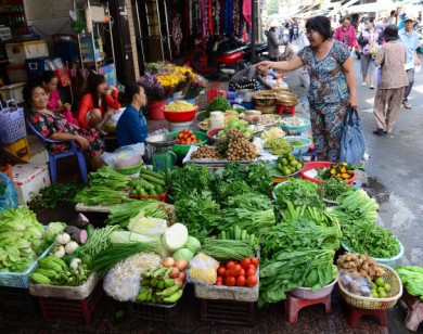 Giữa nỗi sợ “ăn gì cũng chết”