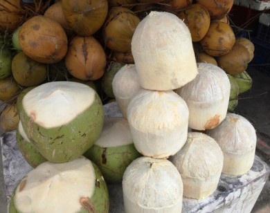 Dùng bột ăn mòn da tay để tẩy trắng dừa tươi ở Sài Gòn