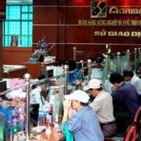 Agribank miễn toàn bộ lãi cho ngư dân bị thiệt hại do cá chết