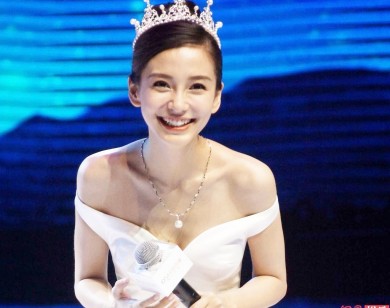 Angelababy bị ném đá vì thiếu hiểu biết về mèo