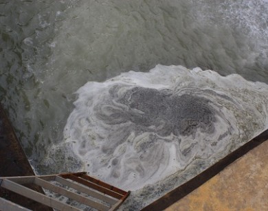 Xả thải ra sông Bưởi: nhà máy đường bị phạt 480 triệu và đóng cửa 6 tháng