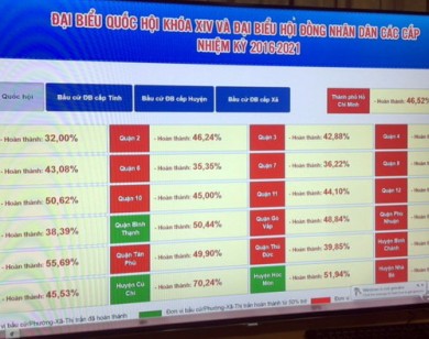 Đến 10h30 phút, cả nước đã có trên 70% cử tri đi bầu cử