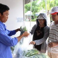 Rau VietGap: Sự yên tâm của người tiêu dùng