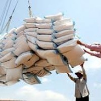 Trung Quốc dẫn đầu danh sách nhập khẩu gạo Việt Nam