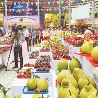 Thưởng lãm trái cây cùng Lễ hội trái cây Nam Bộ