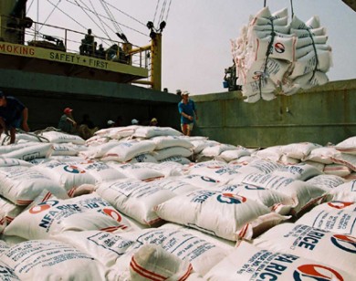 Bất bình đẳng trong xuất khẩu gạo