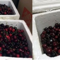 Thùng cherry đưa từ Mỹ về Nội Bài vơi mất 1/3: Cục Hàng không nói gì?