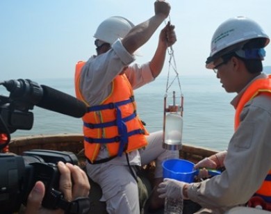 Sau 19 làn quan trắc nước biển tại Nghệ An đều an toàn.