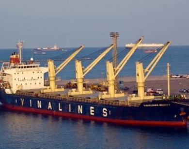 Vinalines “khẩn thiết” yêu cầu bán đội tàu “chìm đắm” trong thua lỗ