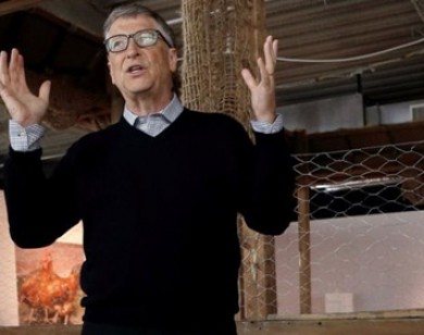 Bill Gates muốn nuôi gà với 2 USD mỗi ngày