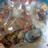 Vụ cá chiên có giòi: Ngưng hoạt động căng tin B03
