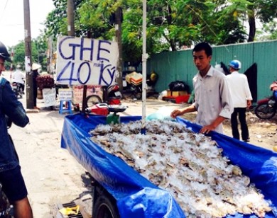 Chất luợng ghẹ Vũng Tàu  “siêu rẻ” trên đuờng phố Sài Gòn ?