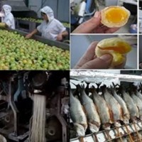 10 thực phẩm Trung Quốc chuyên gia Mỹ khuyên tránh xa