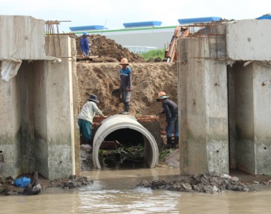 Thanh tra nhà máy giấy Lee & Man trước nguy cơ "bức tử sông Hậu"