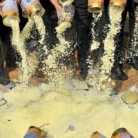 Chuyên gia Việt cảnh báo sữa bột giả Trung Quốc