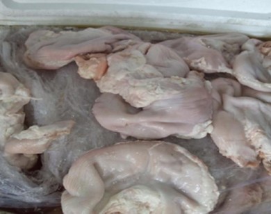 Nghệ An: Bắt giữ xe khách chở hơn 500kg nội tạng động vật đã bốc mùi hôi thối