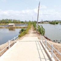 Nông dân nghèo có tiền tỷ nhờ nuôi tôm vùng ngập mặn