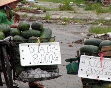 Trái cây vỉa hè: giá bán 10 nơi như 1