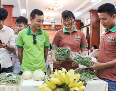 Hợp tác nông nghiệp Hà Nội - Hà Nam: Cốt yếu là chất lượng sản phẩm