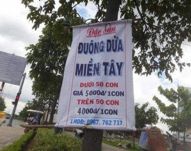Đuông dừa miền Tây bày bán tràn lan tại Sài Gòn