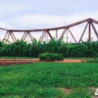 Người Hà Nội đổ xô thuê đất bãi sông Hồng trồng rau, nuôi gà