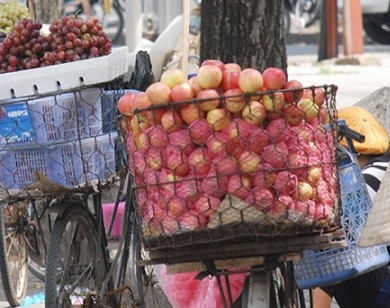 Bắt giữ và tiêu hủy hơn 2 tạ trái cây Trung Quốc nhập lậu