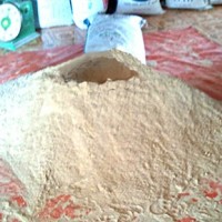 Cho phép nhập khẩu lại ‘chất cấm’ trong chăn nuôi?