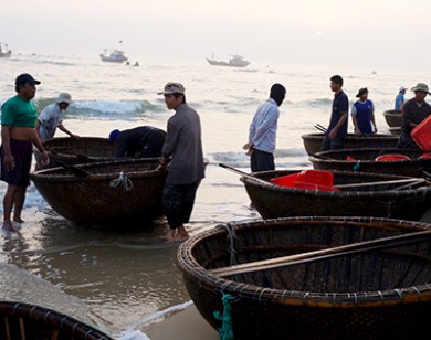 Tuyên bố cho đánh bắt trở lại trên biển miền Trung