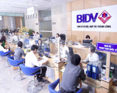 BIDV khai trương 8 chi nhánh mới tại thành phố Hồ Chí Minh