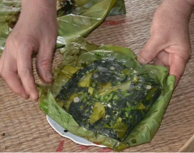 Rong rêu 'thuốc tiên' trường thọ ở Hà Giang
