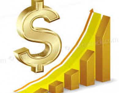 Giá đôla một tuần bấn loạn