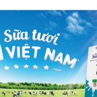 Sẽ bán hơn 8.000 tỉ đồng vốn Nhà nước tại Vinamilk trong năm nay