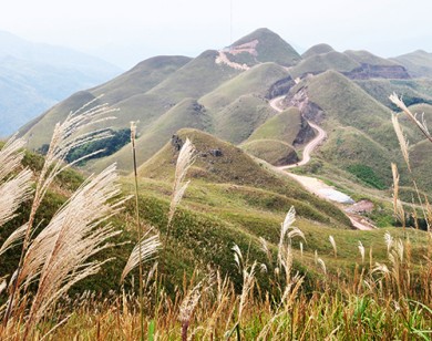 Chánh văn phòng UBND huyện bị tố cáo sàm sỡ