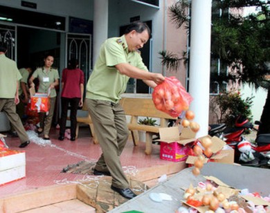 Tiêu hủy hơn 1 tấn trái cây không xuất xứ