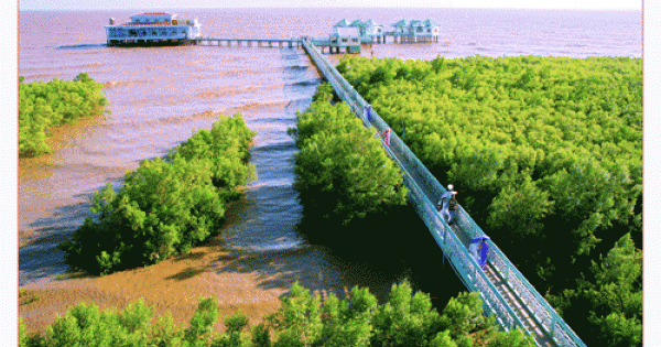 Sở VH-TT&DL Bạc Liêu làm công văn 'kêu gọi' doanh nghiệp hỗ trợ làm phim