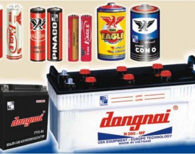 Pinaco đón dòng vốn gần 200 tỷ đồng từ công ty Nhật
