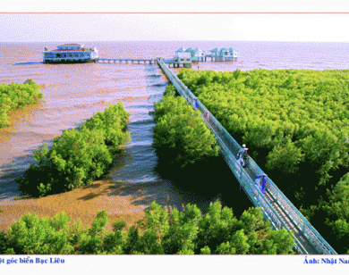 Sở VH-TT&DL Bạc Liêu làm công văn 'kêu gọi' doanh nghiệp hỗ trợ làm phim