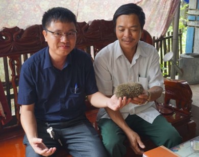 Cát lợn ở Nghệ An được thương gia Hồng Kông trả 3 tỷ đồng