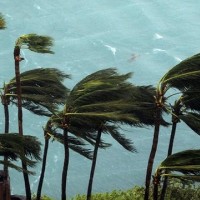 Bão tử thần tấn công nước Mỹ
