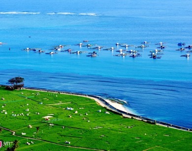 Đảo Lý Sơn: Nuôi trồng thủy sản lãi tiền tỷ mỗi năm