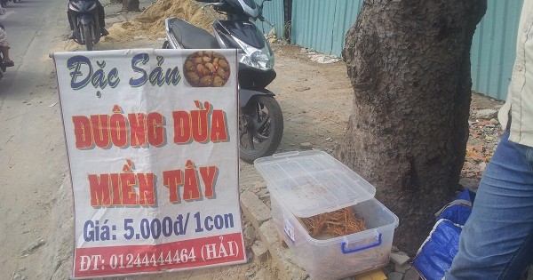 Đuông dừa bị cấm nhưng bán đầy lề đường Sài Gòn: Không ai xử lý?