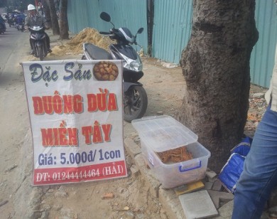Đuông dừa bị cấm nhưng bán đầy lề đường Sài Gòn: Không ai xử lý?