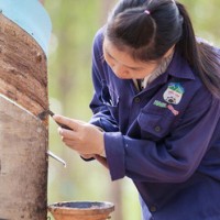 Hoàng Anh Gia Lai tuyển 3.000 nhân lực, dồn sức vào Campuchia và Lào