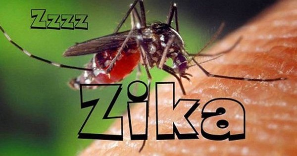 TP HCM thêm 2 phụ nữ nhiễm Zika