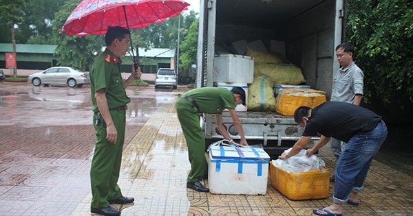 Thu giữ 2,7 tấn nội tạng hôi thối trên đường vận chuyển