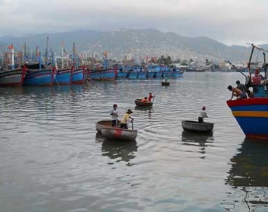 Cổ đông Tôn Hoa Sen yêu cầu có phương án bảo vệ môi trường dự án thép Cà Ná