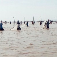 2.000 người xông tra biển cướp nghêu 