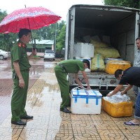 Thu giữ 2,7 tấn nội tạng hôi thối trên đường vận chuyển