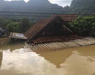 Hình ảnh lũ lụt tang thương: Nhà dân ngập đến nóc